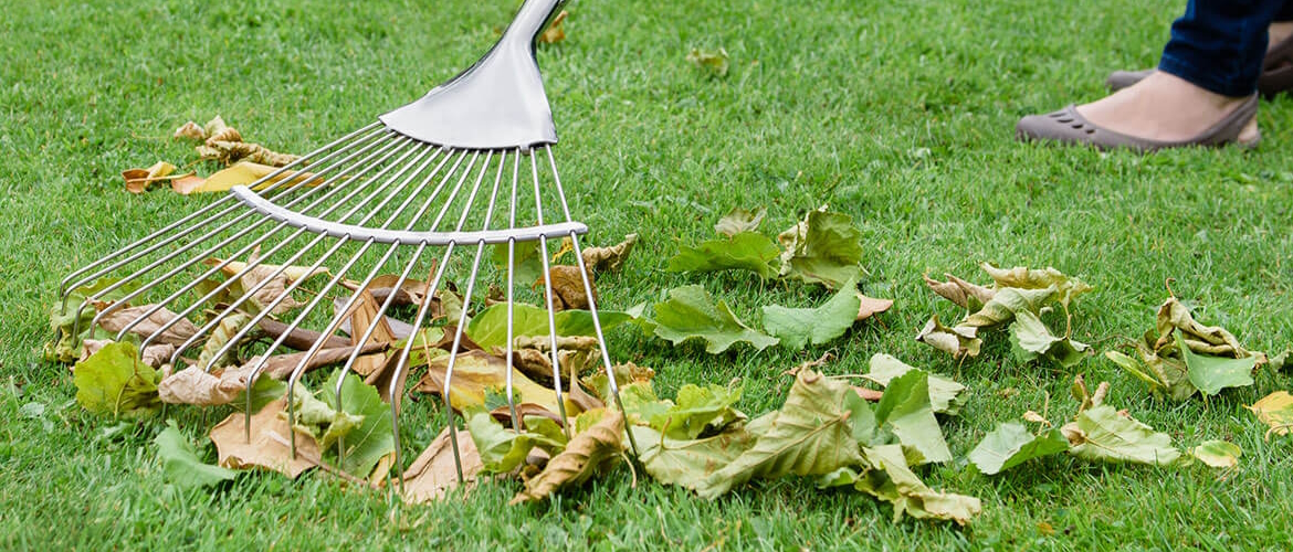 Buy Festival Trolleys here