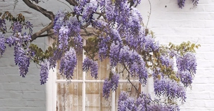 Change your house with Sandtex Masonry Paint