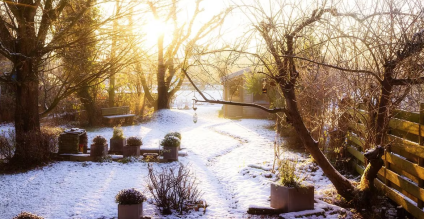How to Prepare Your Garden For Winter? What to Do Before the Frost