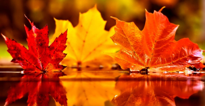 When Is the Best Time of Year to Paint Outdoor Wood?