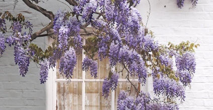 Change your house with Sandtex Masonry Paint