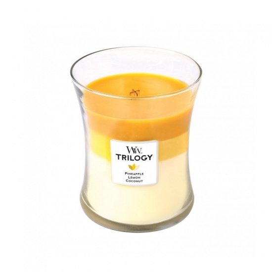 Yankee Candle Woodwick Trilogy, Fruits Of Summer Colour Supplies