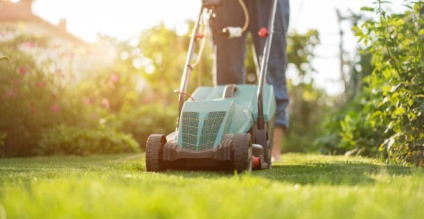 The Best Lawn Mowers in 2025: Top Picks from Colour Supplies